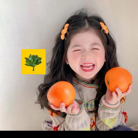 🌸Su Su好物分享