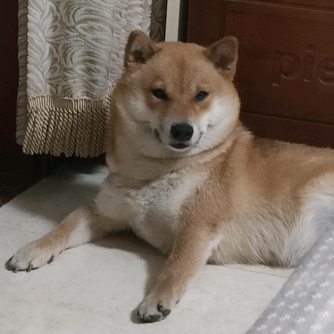 多多不多余