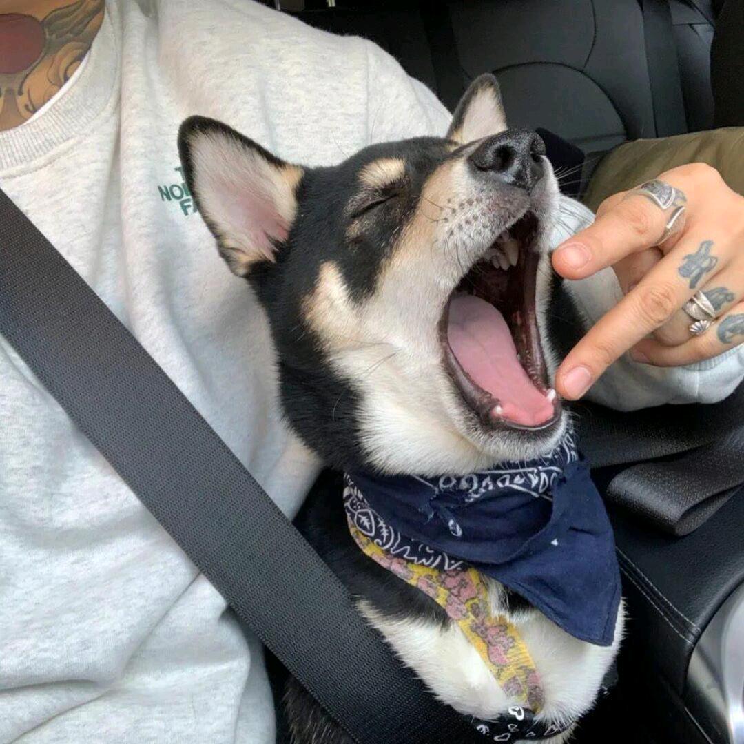 AAA教材批发刘哥