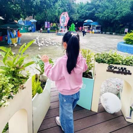 星星（已有桂）