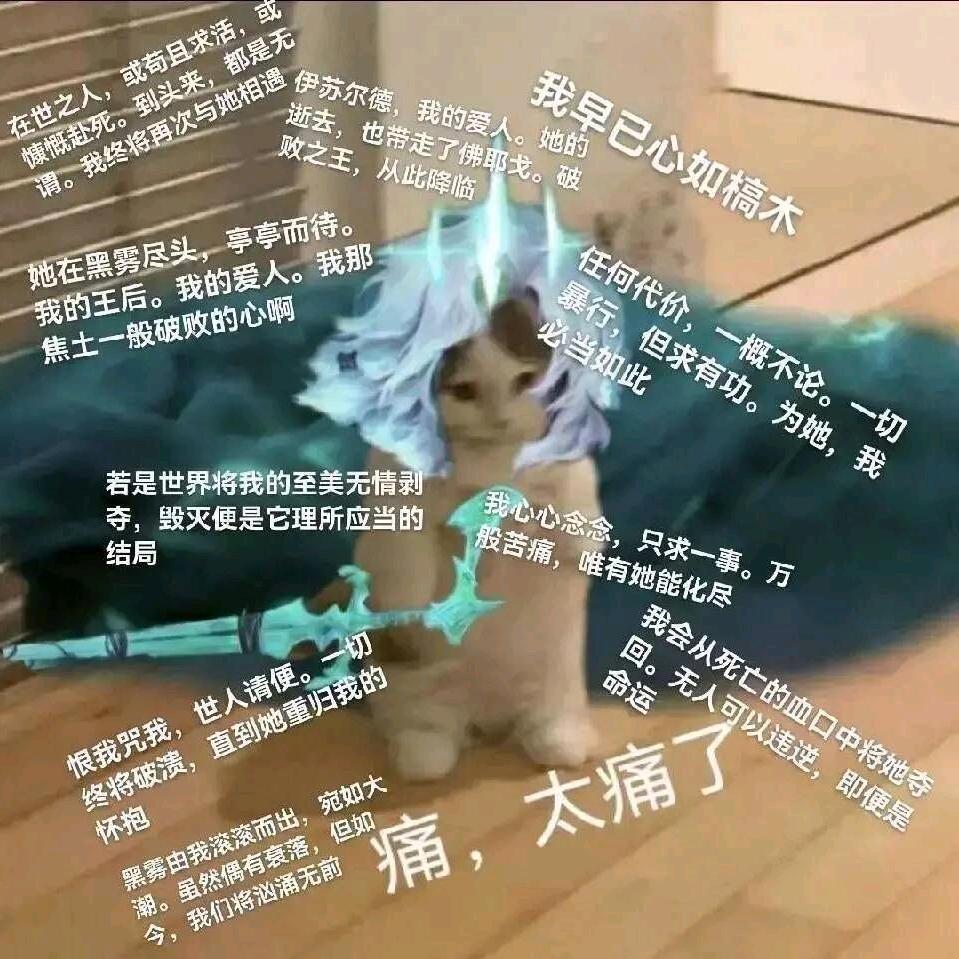 我不喜欢这世界 我只喜欢你