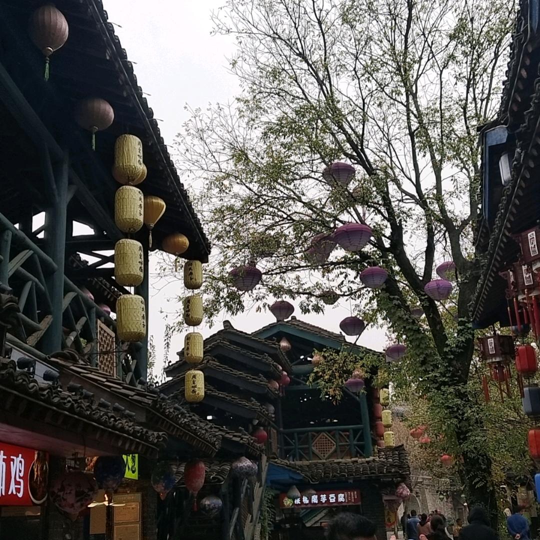 涛涛雄
