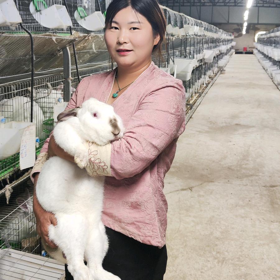 乡村兔妹