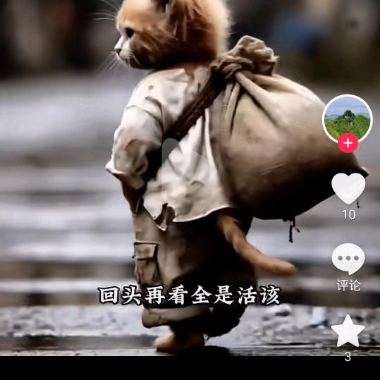一生的渺茫210
