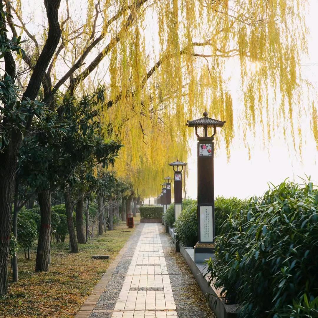 阳光水岸