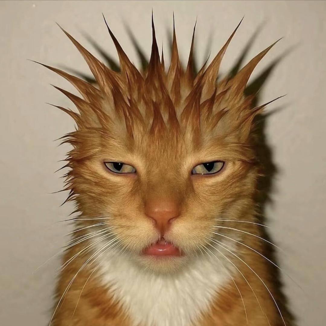 牛肉干拍了牙龈屁股说你脸怎么这么红