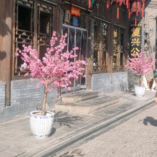 习惯不习惯的习惯