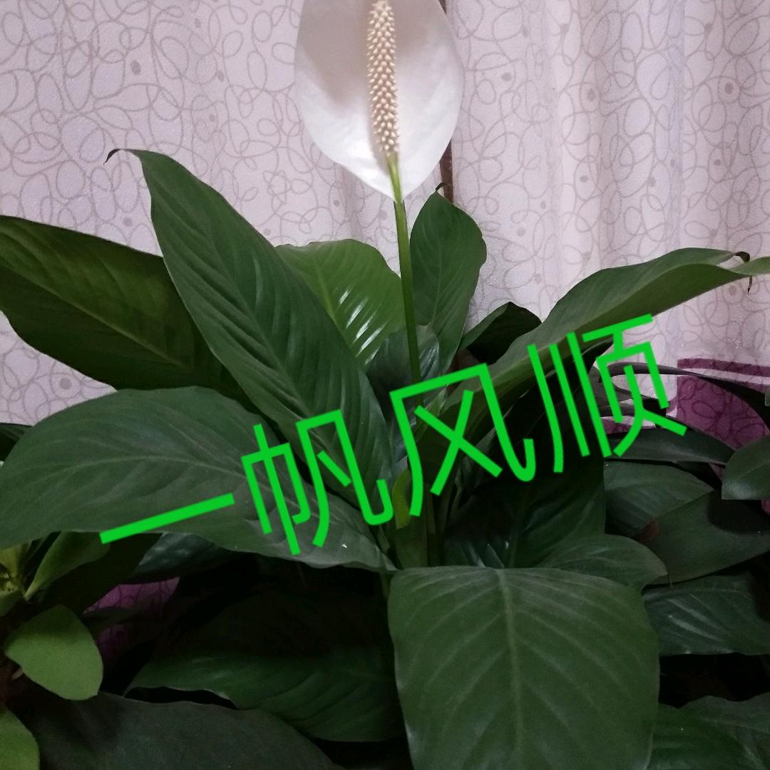 休闲驿站666