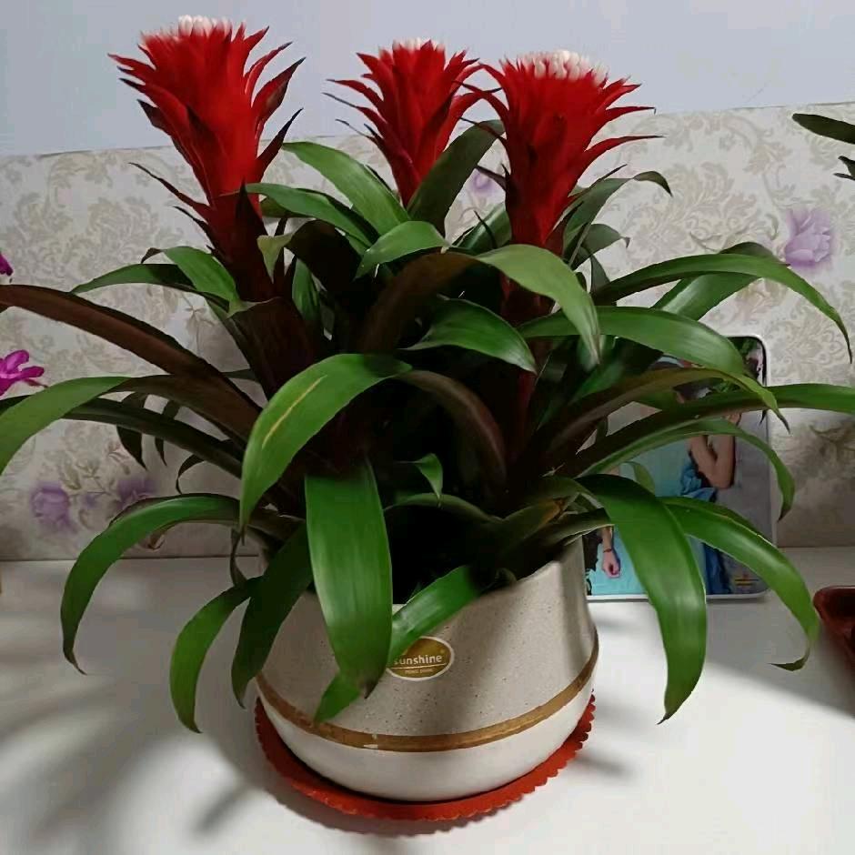 🌈🌈幸福快乐🍃