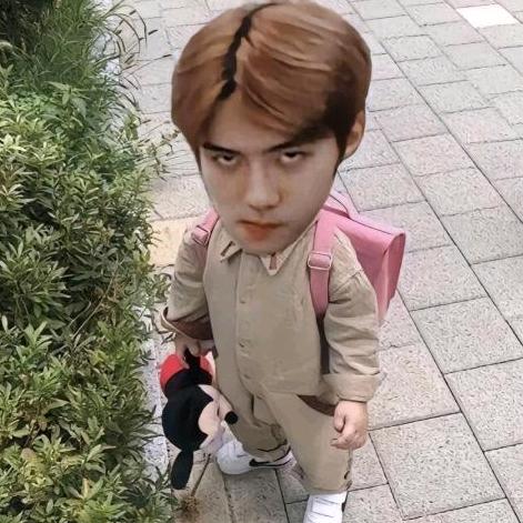 吴世勋章🐣🍒（见过张艺兴版）