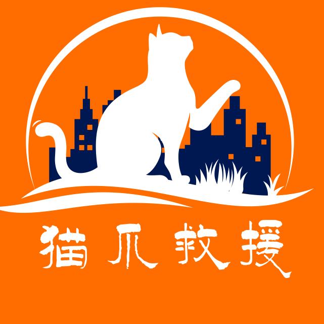 北京猫爪救援流浪猫驿站