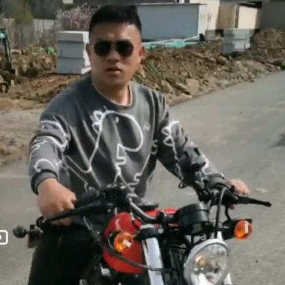 动动