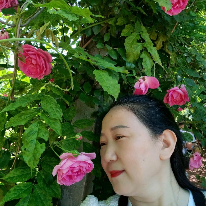 大年姐