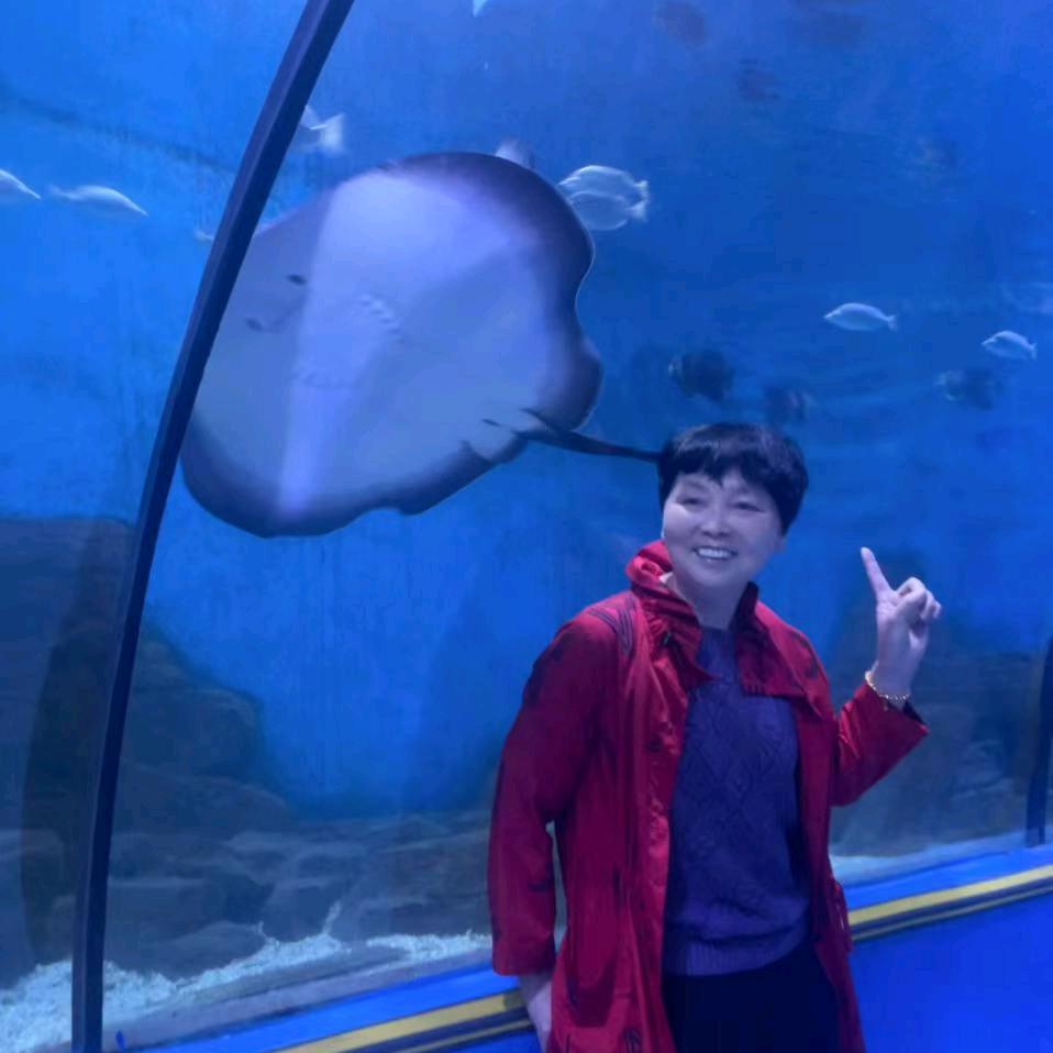 平安兰航