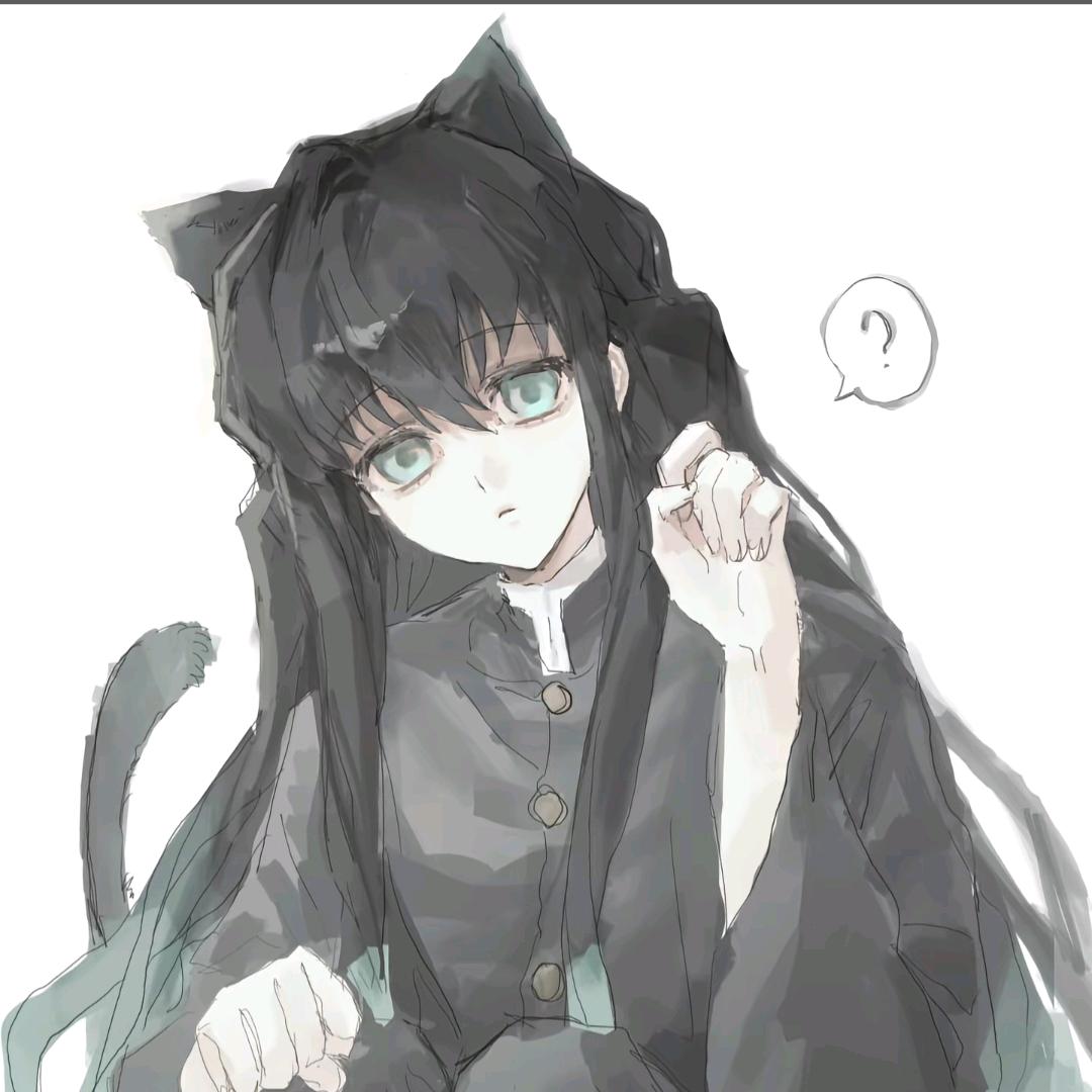 我推透宝头像