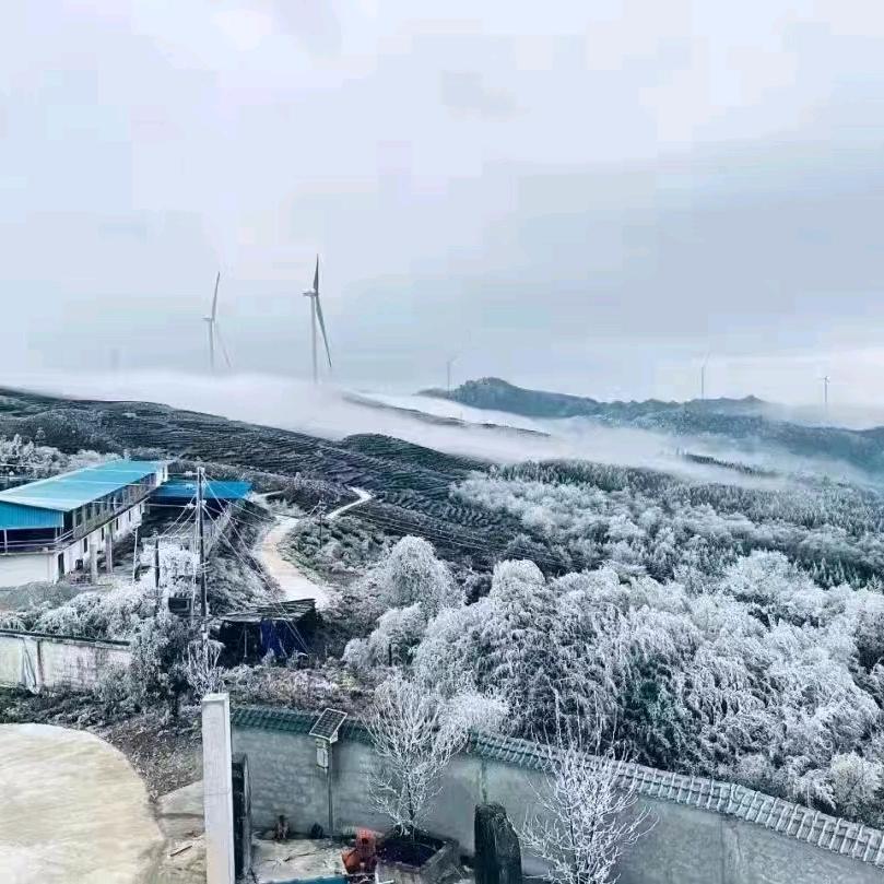 某咩名字Không có tên