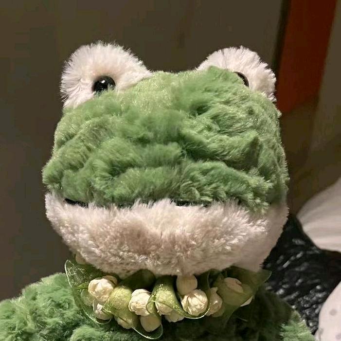 蛙蛙我崽