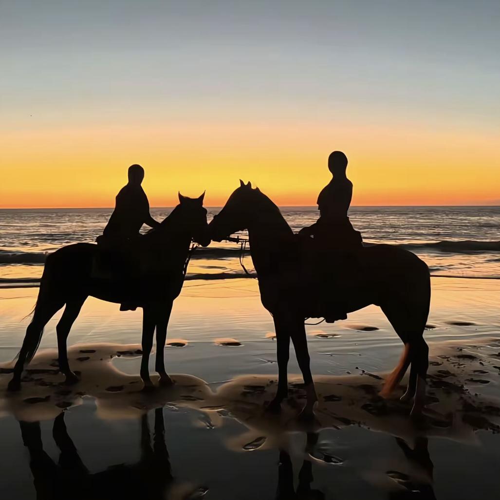 零碎的小土豆💤