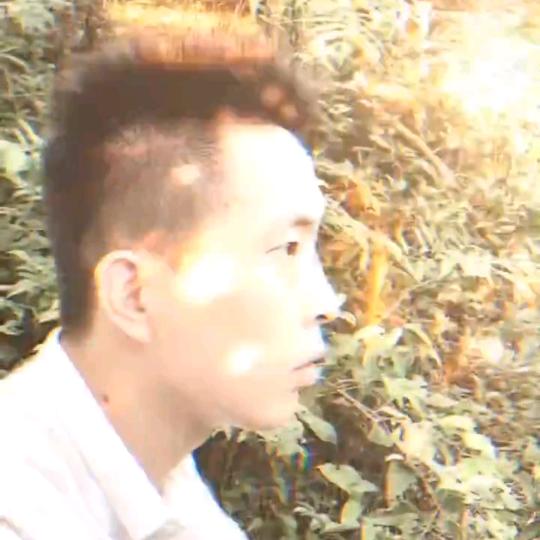 罗先生