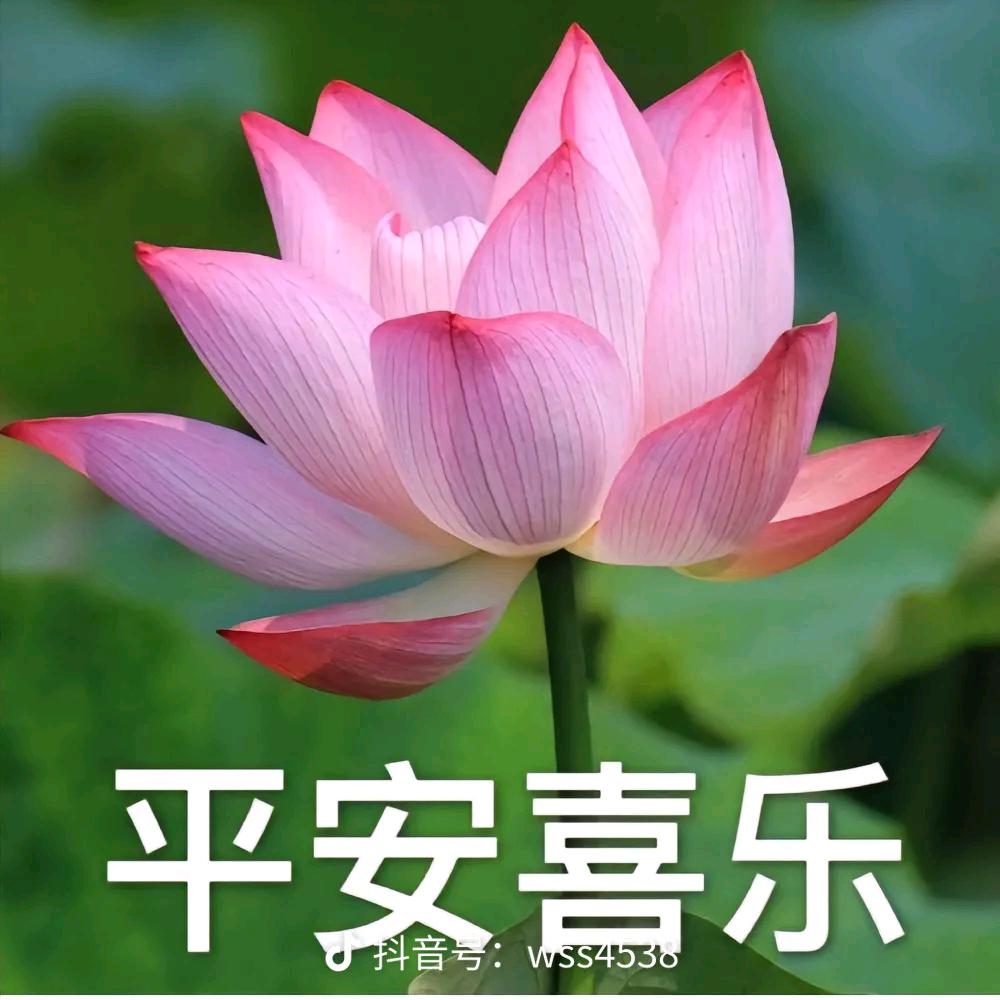 平安~