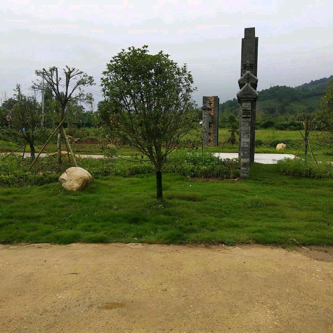 用户2816865940652