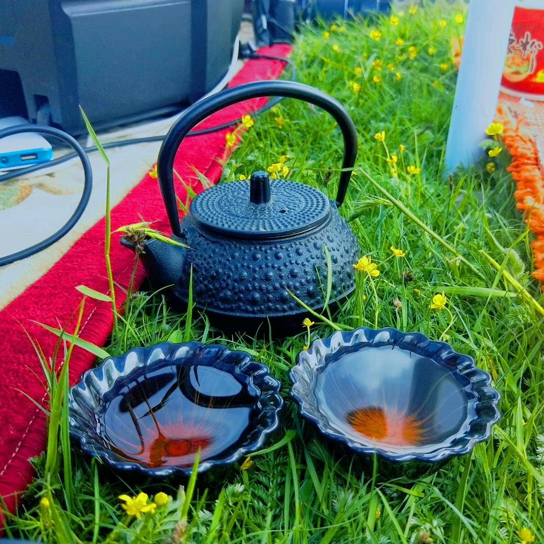 🍁བོད་པ་1376666