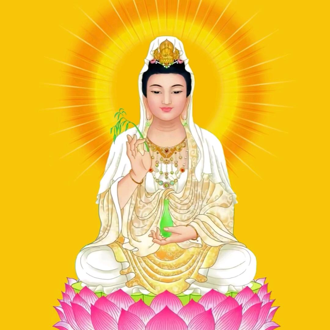 47137016106