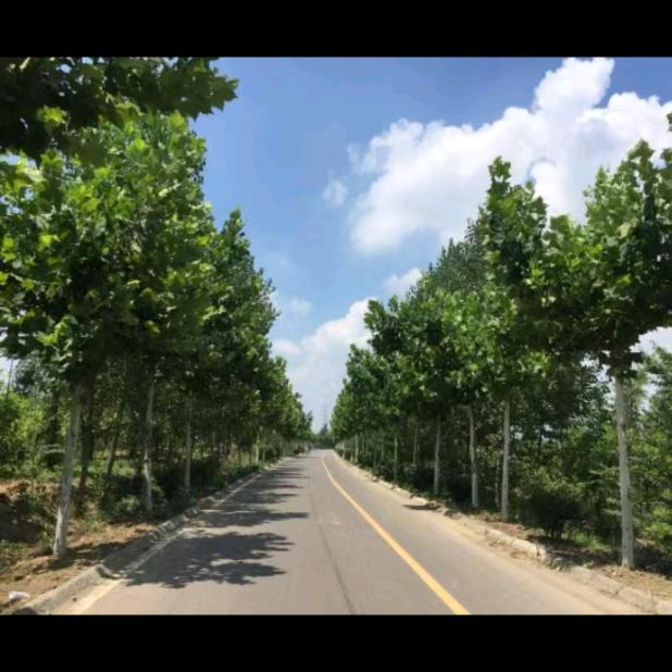 山东制冷设备制造
