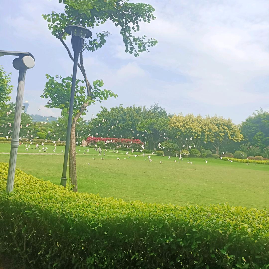 香满山石磨香油