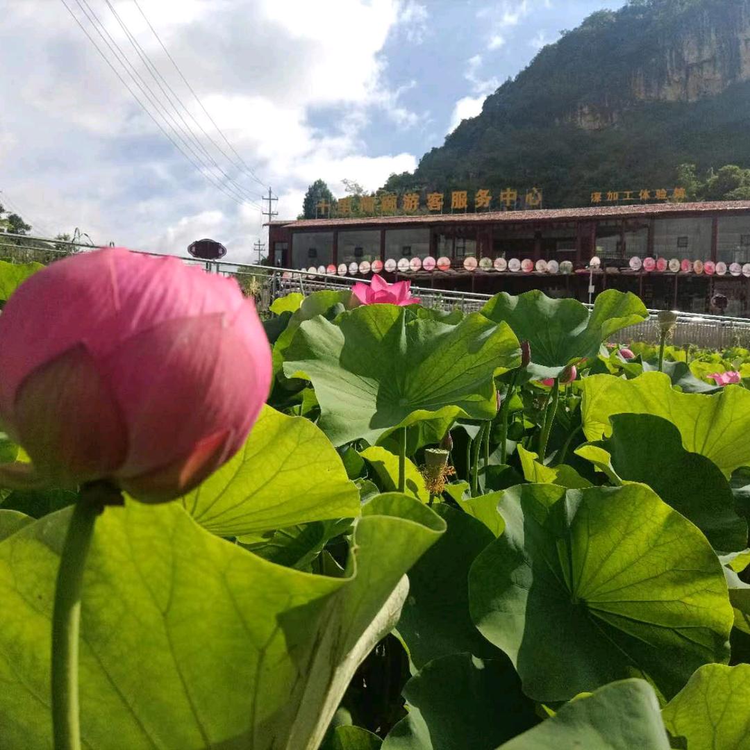 安顺开发区十里荷廊壹号民宿