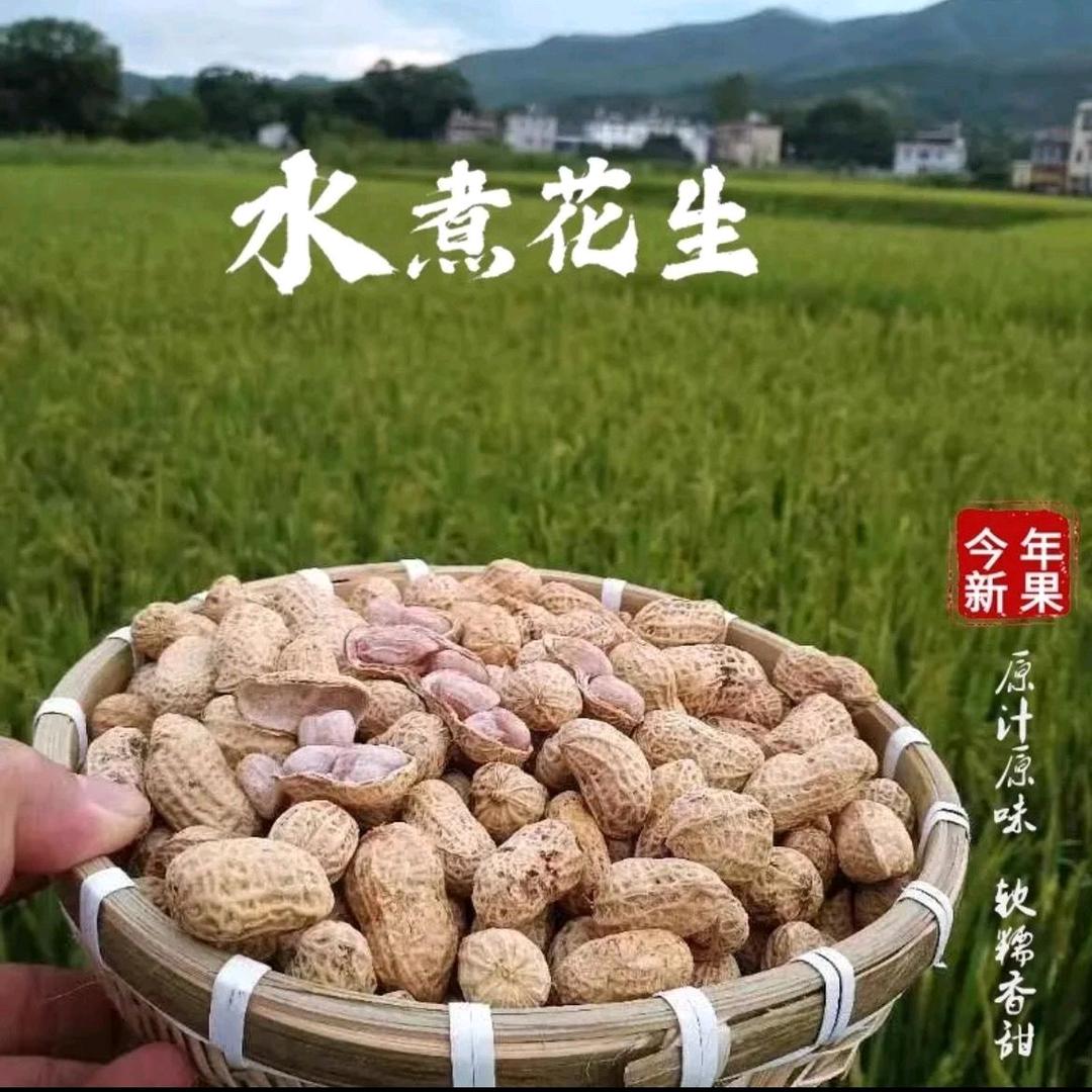 忠信客家水煮花生