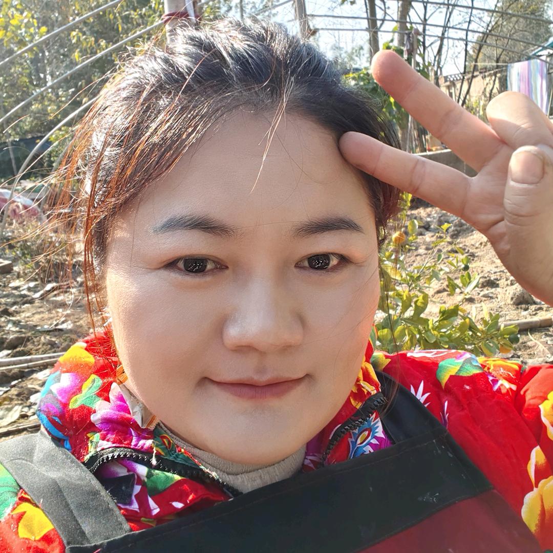 凤姐的农村生活