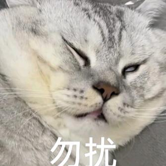 头发不能少