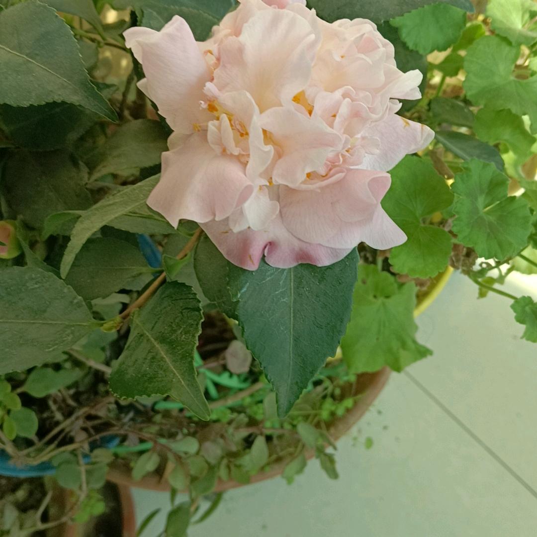 用户无忧无虑