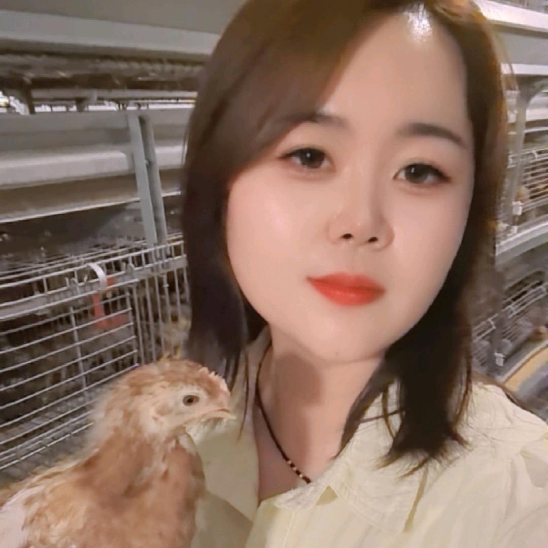 小~胡《育雏，代育青年蛋鸡，脱温鸡🐔》