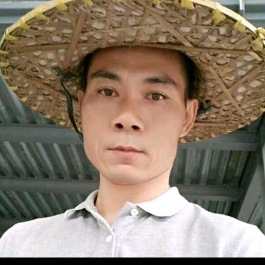 ~鹏~