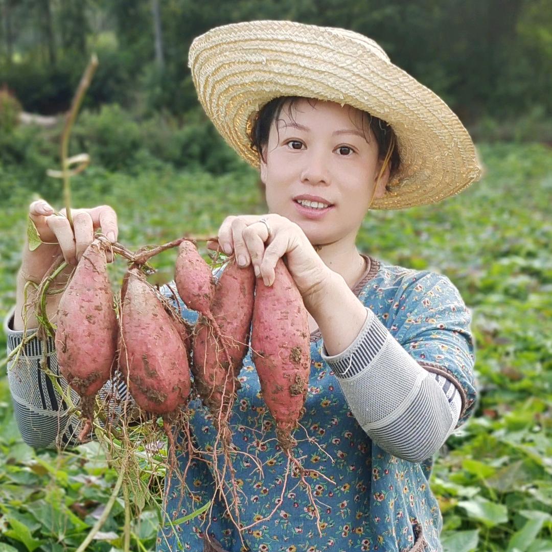 香香姐（香香农场）