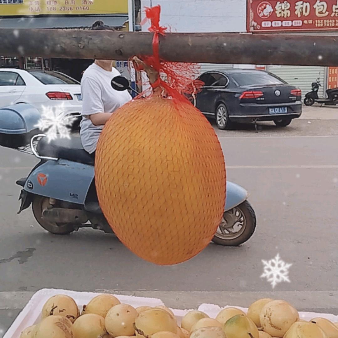 墨哥摆地摊