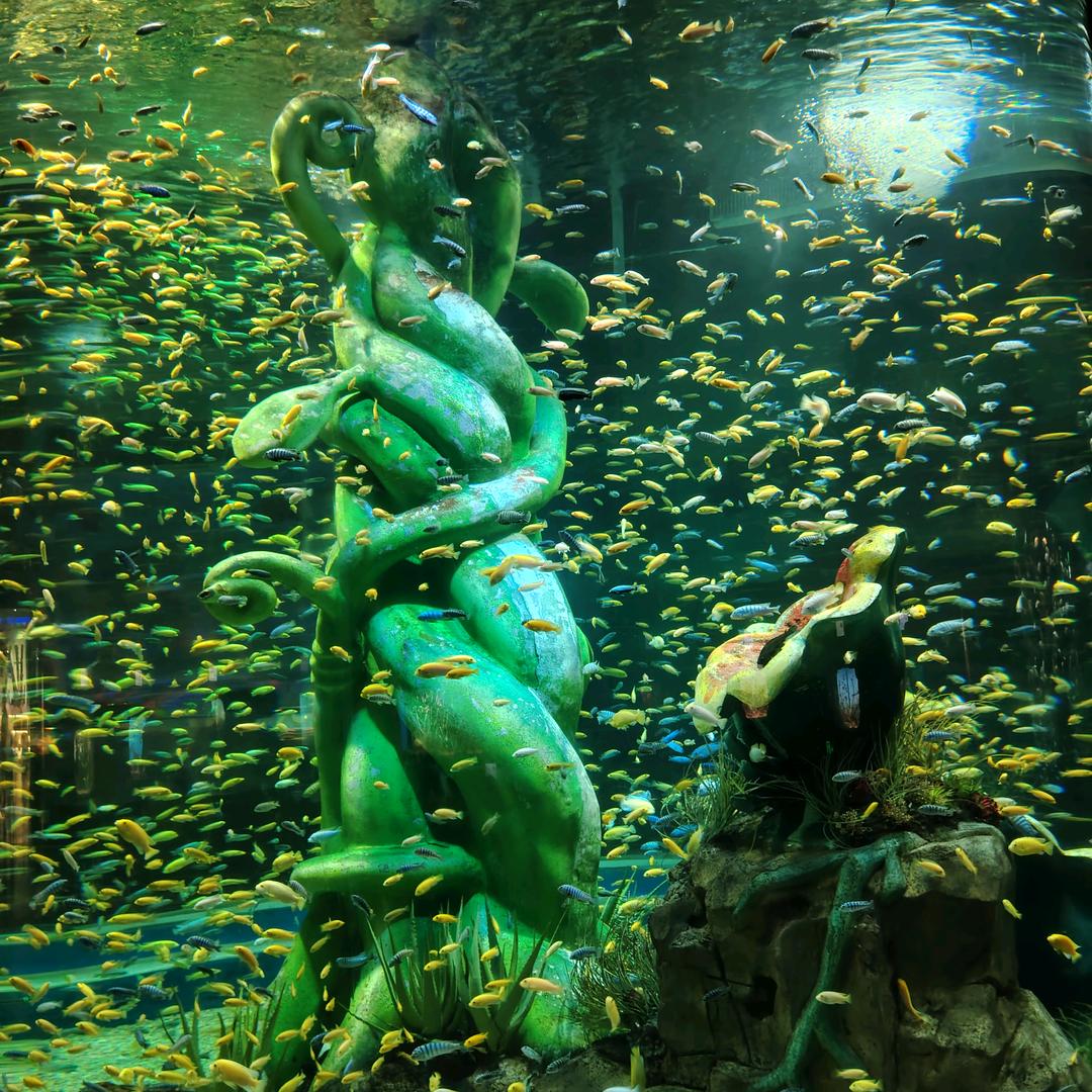 心态向阳，生活充满阳光