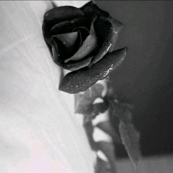 ঞᩚ᭄心無ℒℴѵℯ所依꧔ꦿ᭄✾