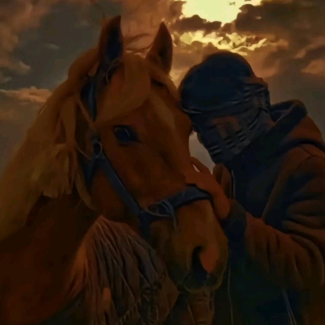 𓃗黑马王子🏇🏾