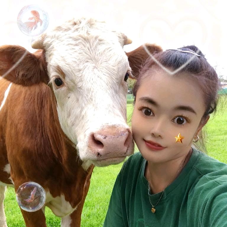 养牛ㄠ姐