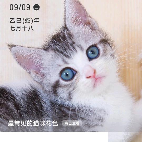 半生风雨半生伤