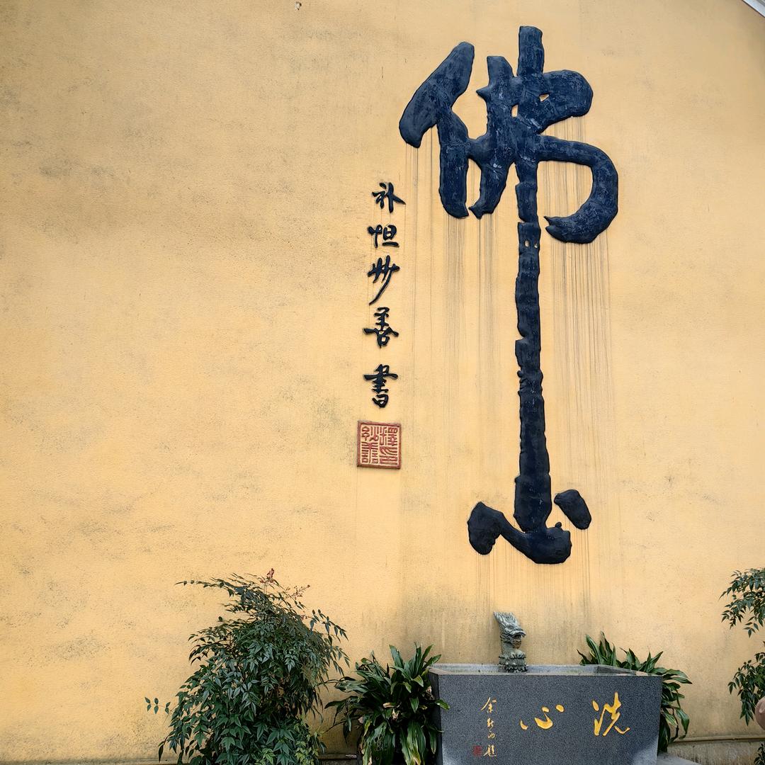 丰收的苞谷