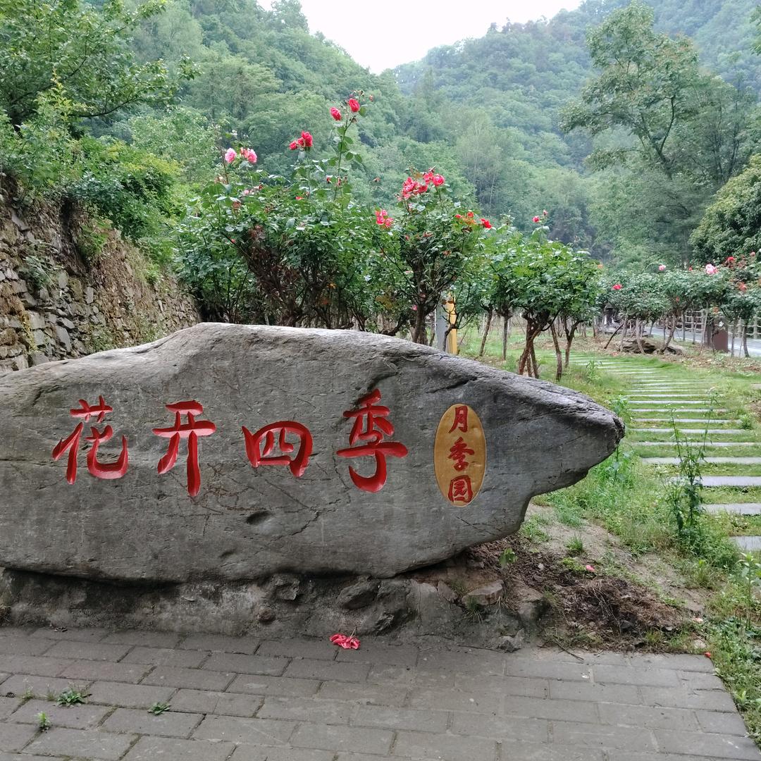 笑看红尘