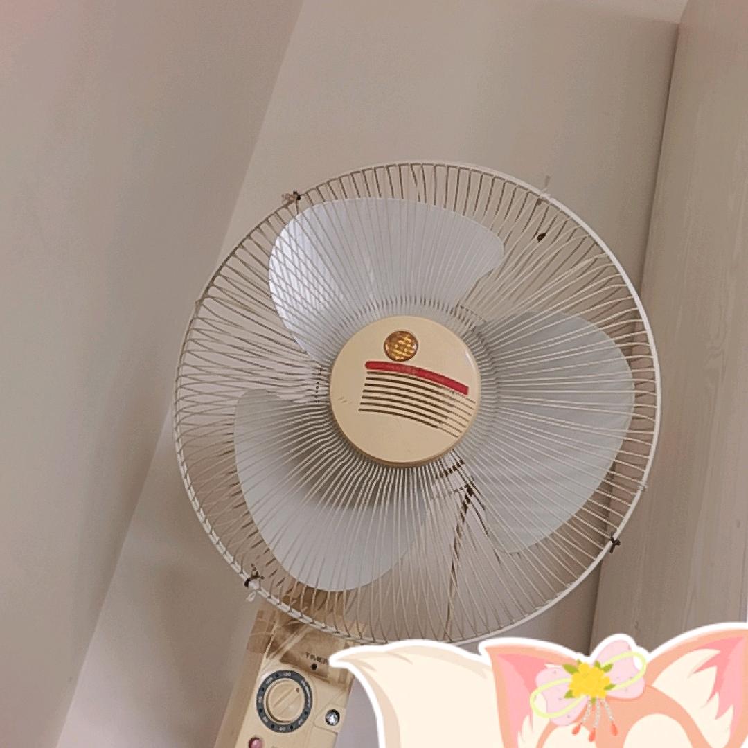 还是叫无根沙棚吧