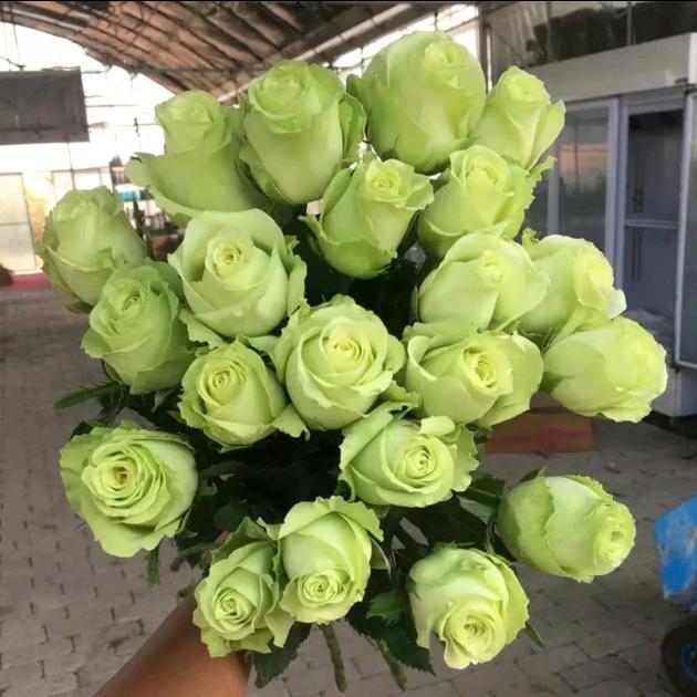 爱我中华🇨🇳