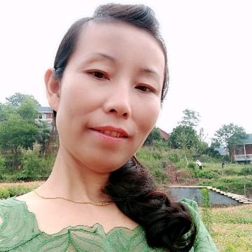 梅！雁南飞