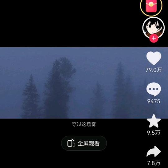 森林浓雾霾🤪