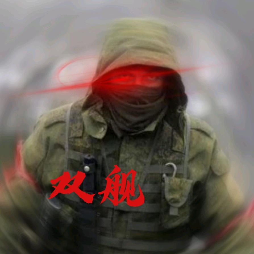 双.舰